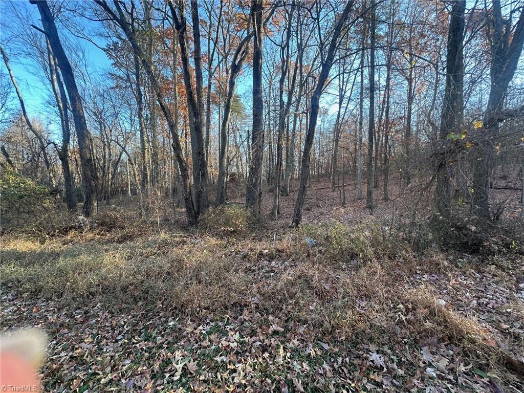 177 Snead Road Stoneville, NC 27048 - Photo 27 of 28