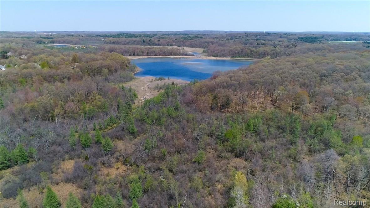 5877 Nottingham Point Brighton, MI 48116 - Photo 21 of 89 DJI_0007-3.jpg