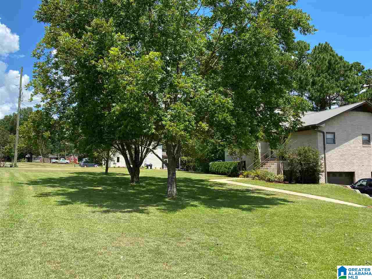 1008 Hannah Road Pell City, AL 35128 - Photo 33 of 50