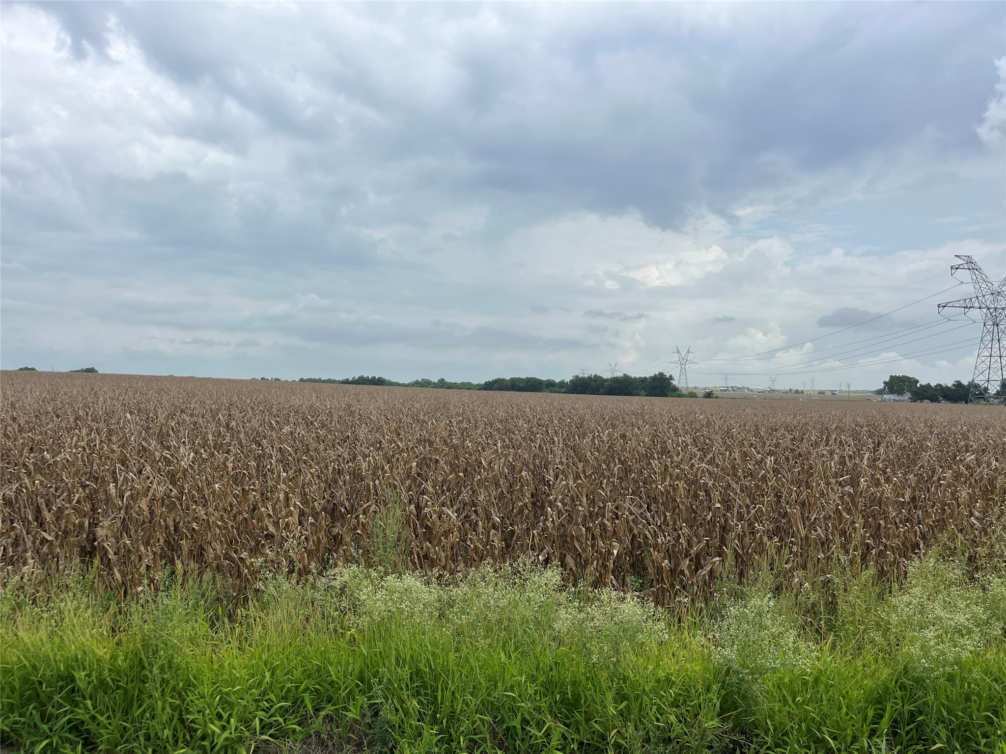 a view of a lake from a yard