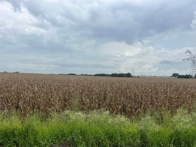 a view of a lake from a yard
