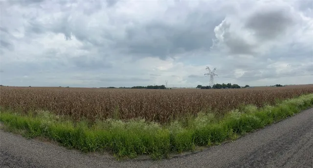 a view of a lake from a yard