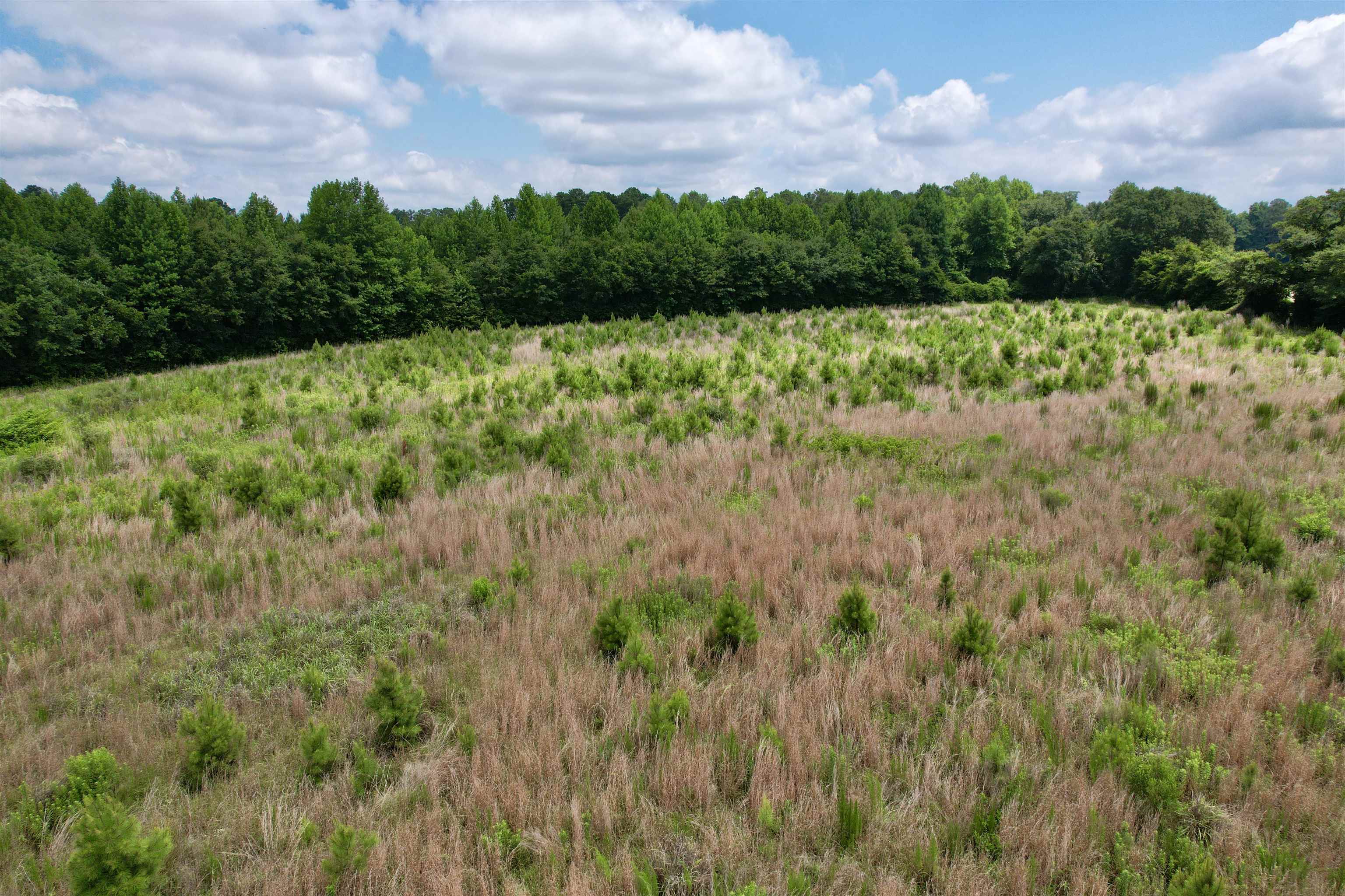 0 Powell Rd Green Green Sea, SC 29545 - Photo 26 of 72
