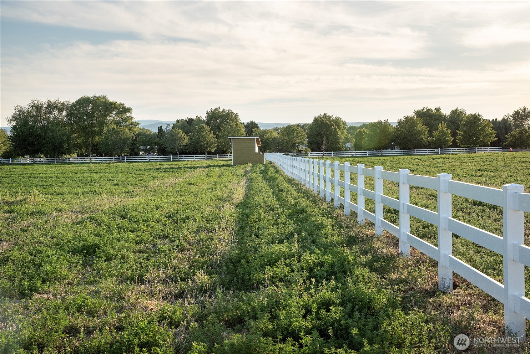 3 B Look Road Ellensburg, WA 98926 - Photo 9 of 14 Gallery Image 9