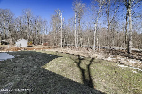 a view of a yard with trees