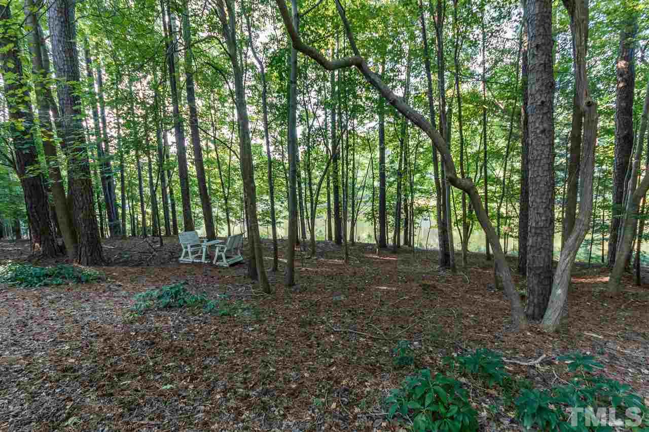 644 Pendleton Lake Road Raleigh, NC 27614 - Photo 25 of 25 a view of a forest with trees in the background
