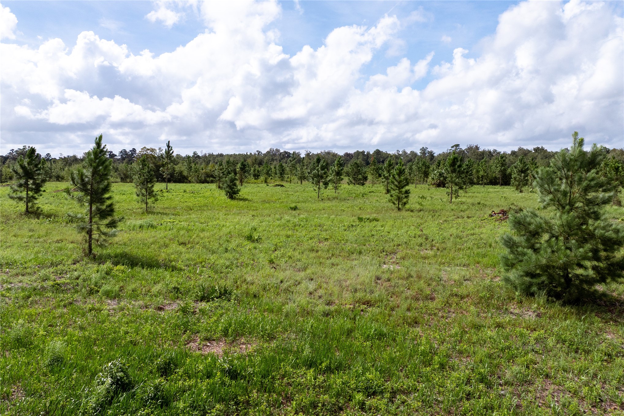 Lot 3 Davis Road Hilliard, FL 32046 - Photo 19 of 22 Gallery Image 19