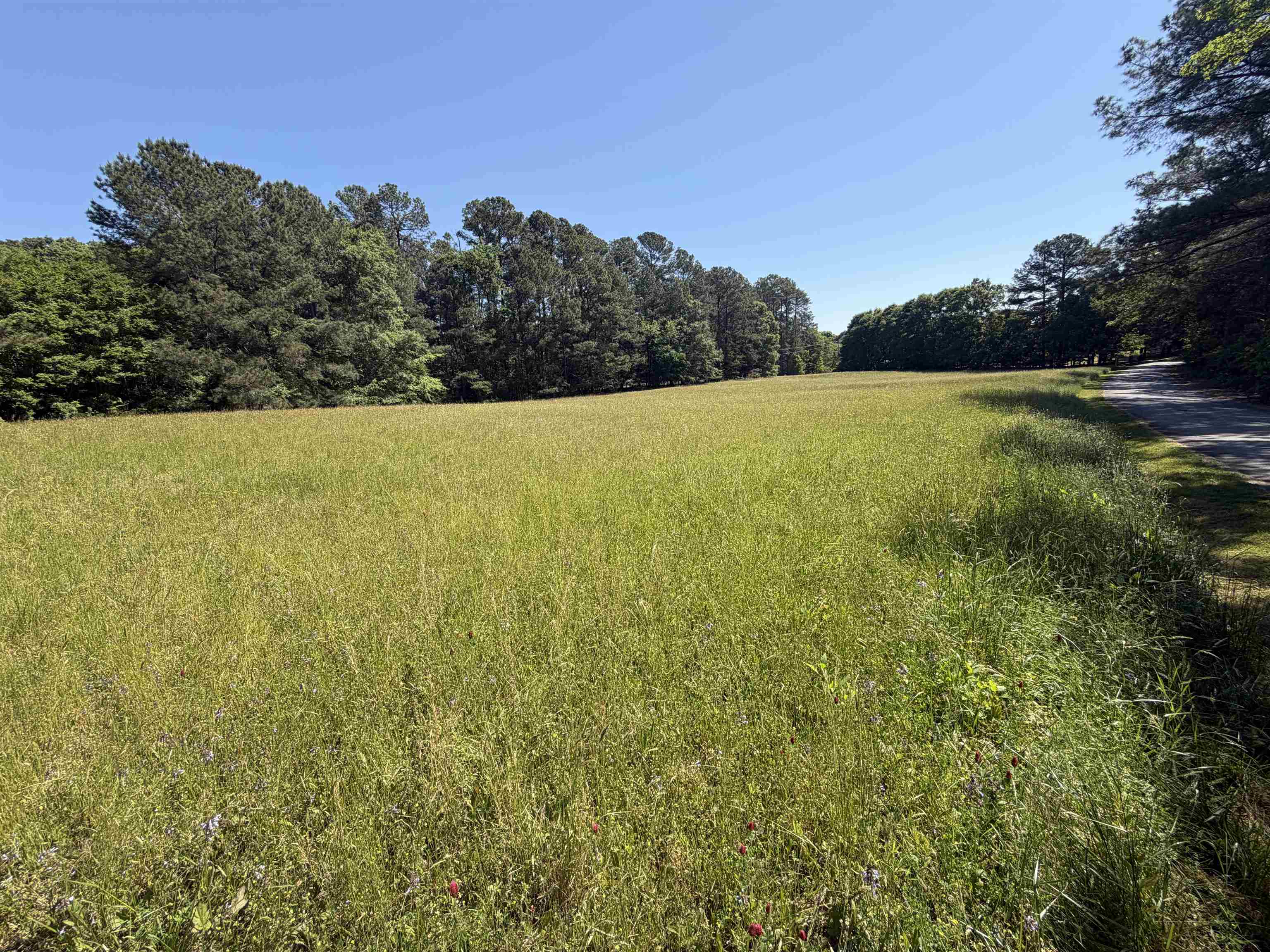 0 Franklin Road Laurens, SC 29360 - Photo 5 of 8 Gallery Image 5