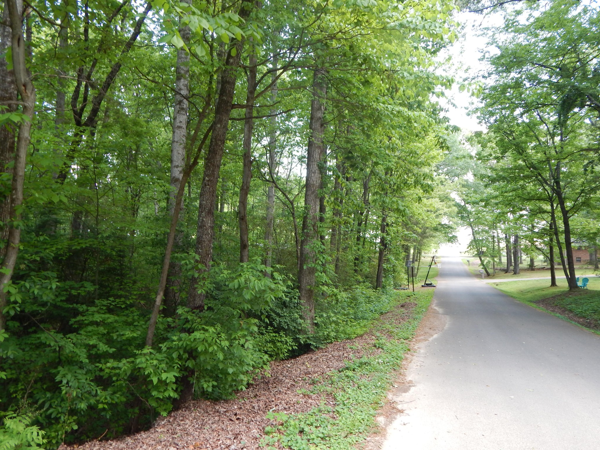 0 County Road 147 Riceville, TN 37370 - Photo 1 of 12 Gallery Image 1