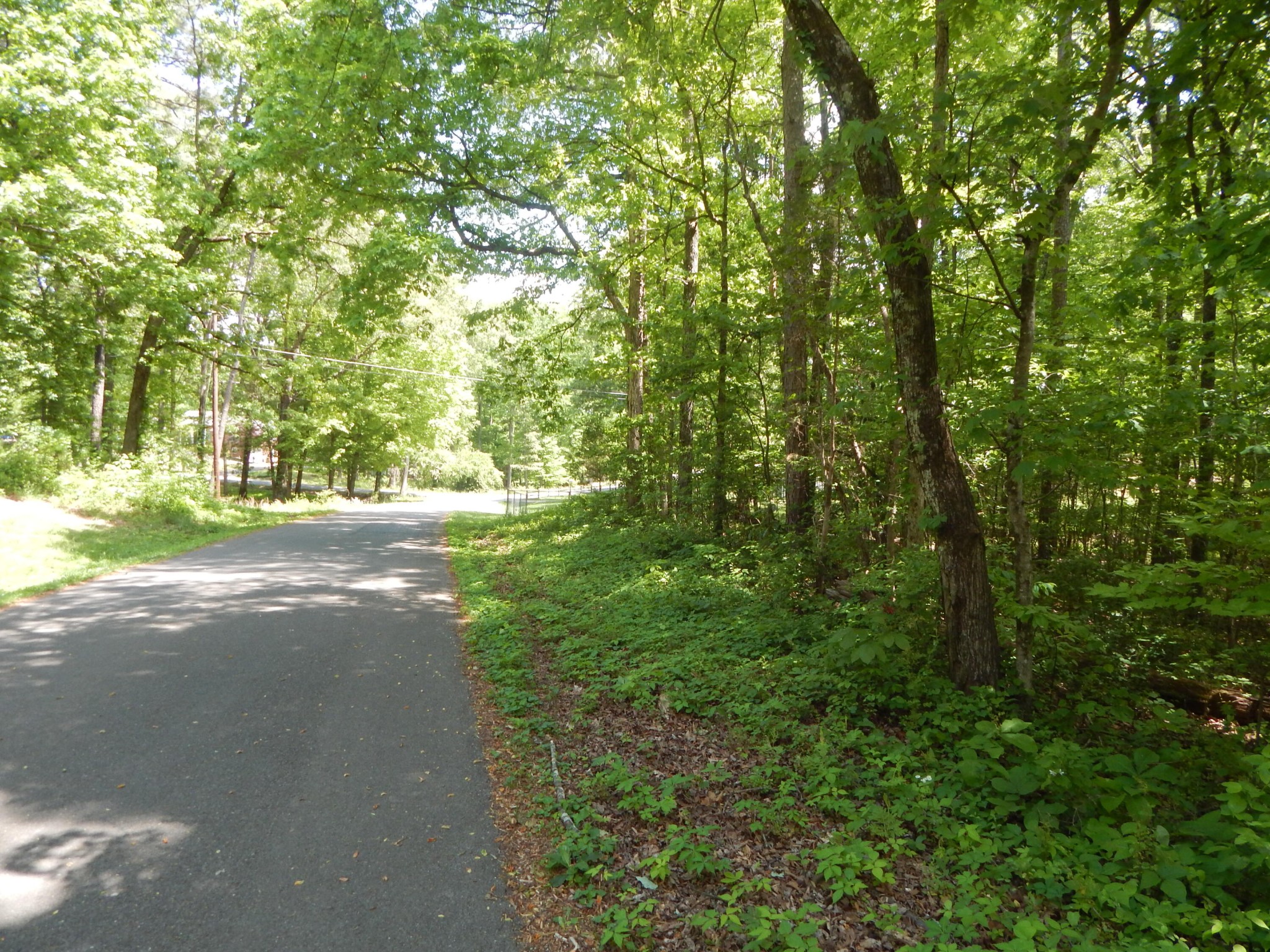 0 County Road 147 Riceville, TN 37370 - Photo 2 of 12 Gallery Image 2
