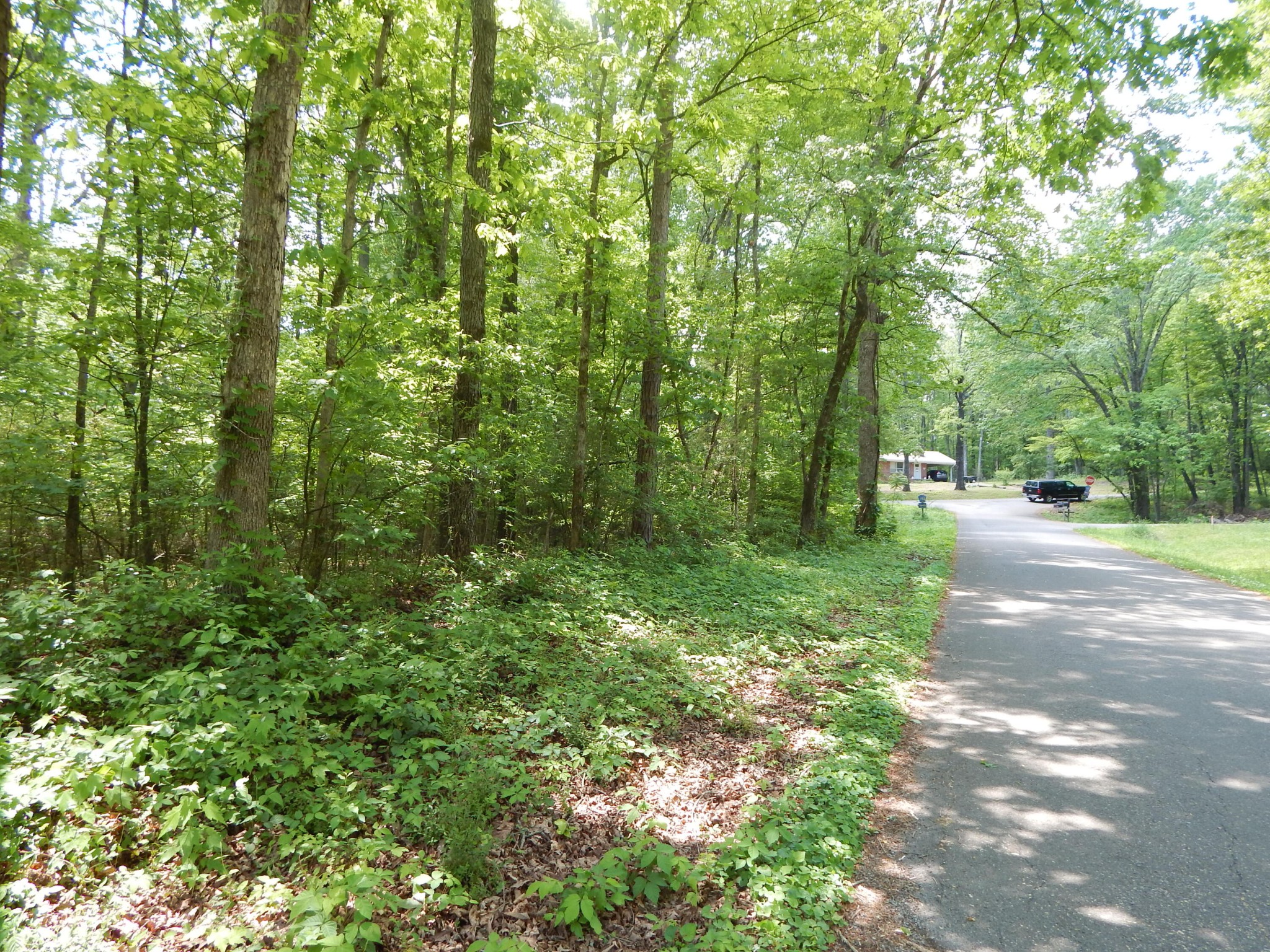 0 County Road 147 Riceville, TN 37370 - Photo 3 of 12 Gallery Image 3