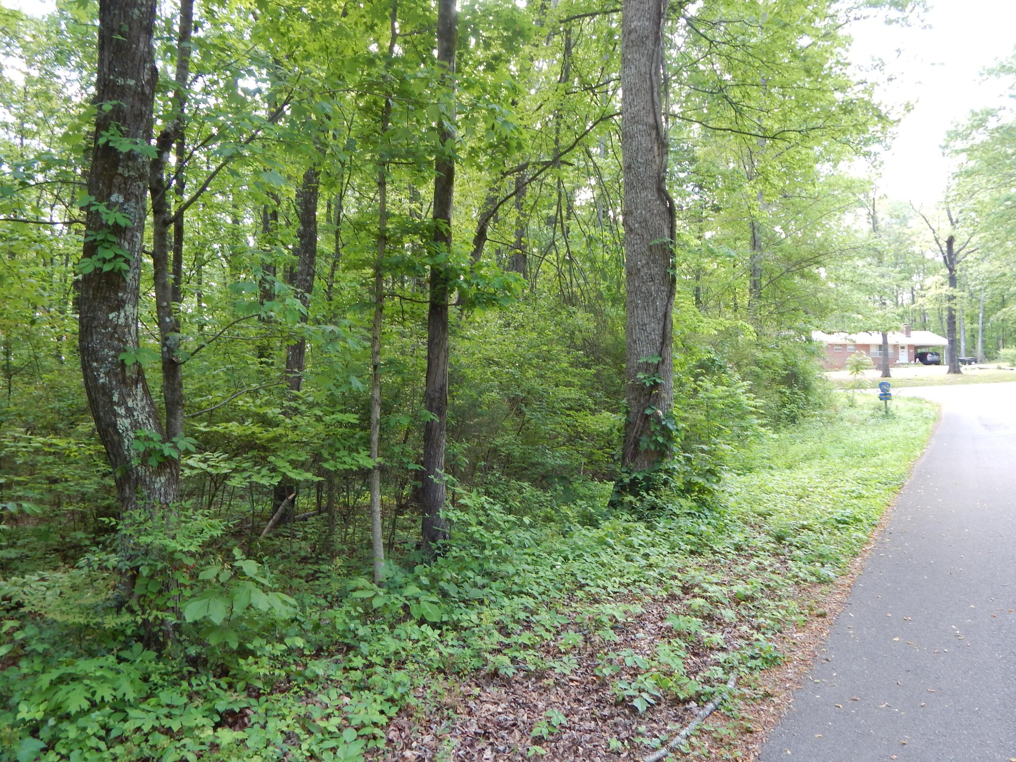 0 County Road 147 Riceville, TN 37370 - Photo 4 of 12 Gallery Image 4