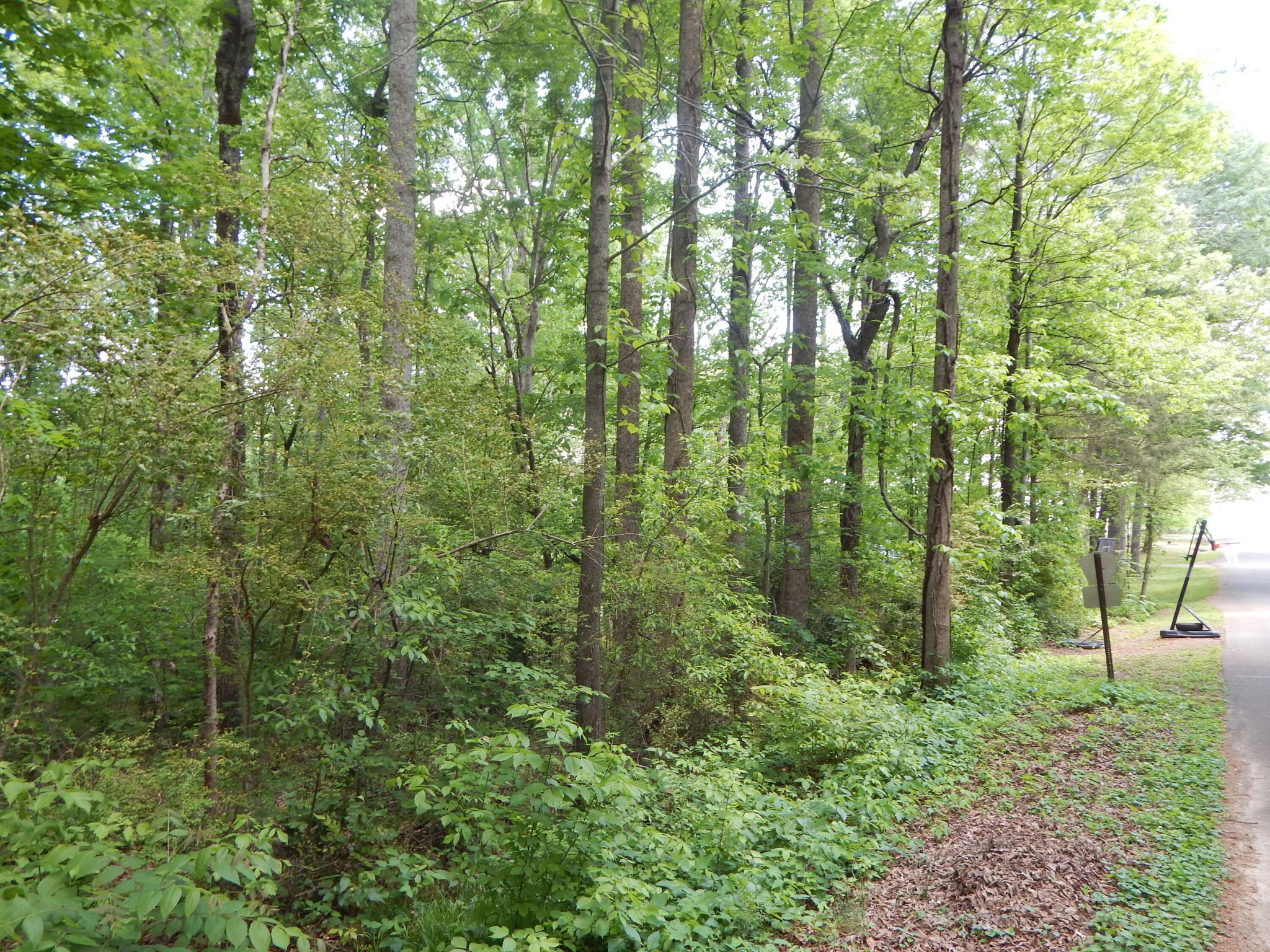 0 County Road 147 Riceville, TN 37370 - Photo 5 of 12 Gallery Image 5
