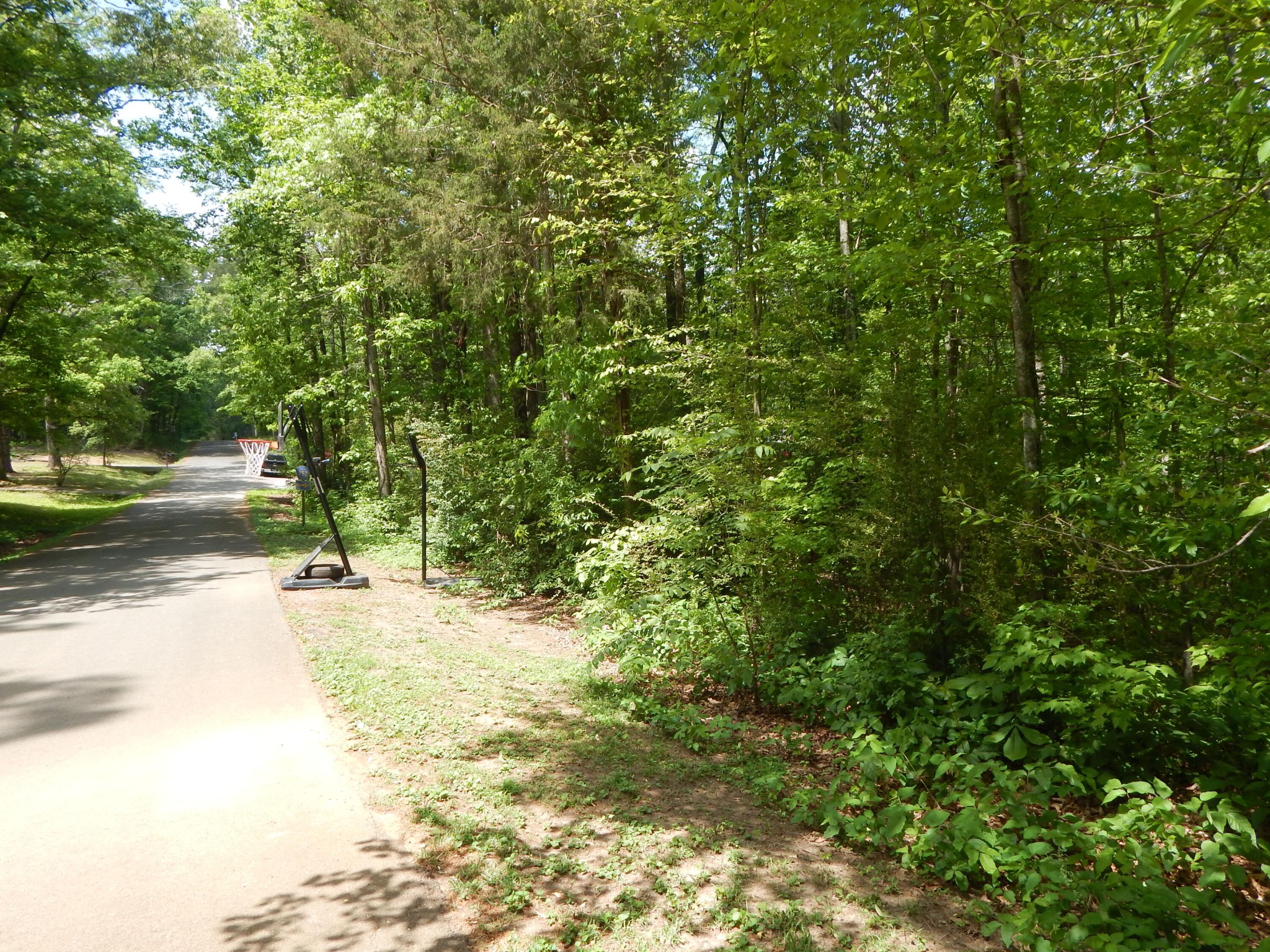 0 County Road 147 Riceville, TN 37370 - Photo 6 of 12 Gallery Image 6