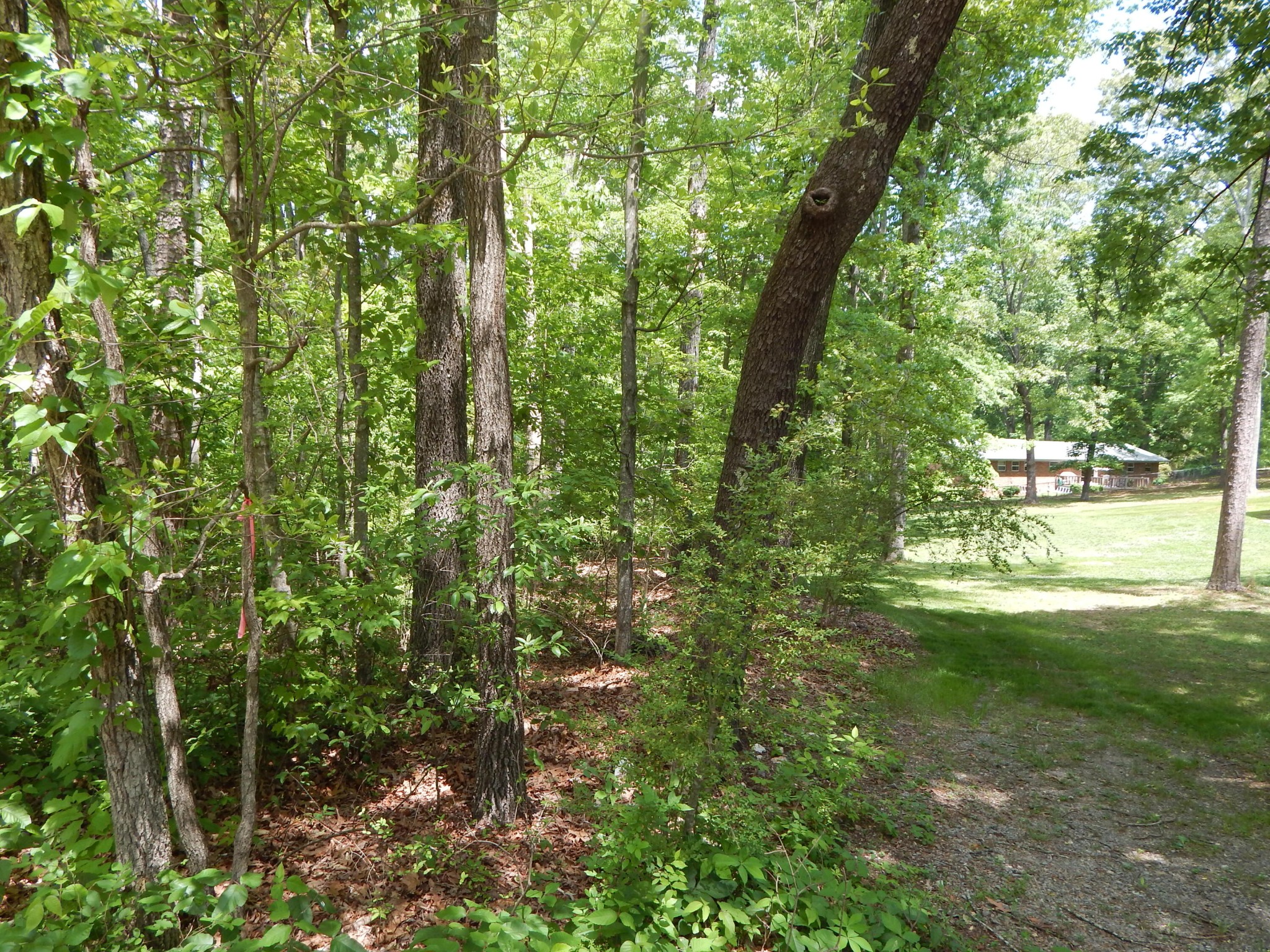 0 County Road 147 Riceville, TN 37370 - Photo 7 of 12 Gallery Image 7