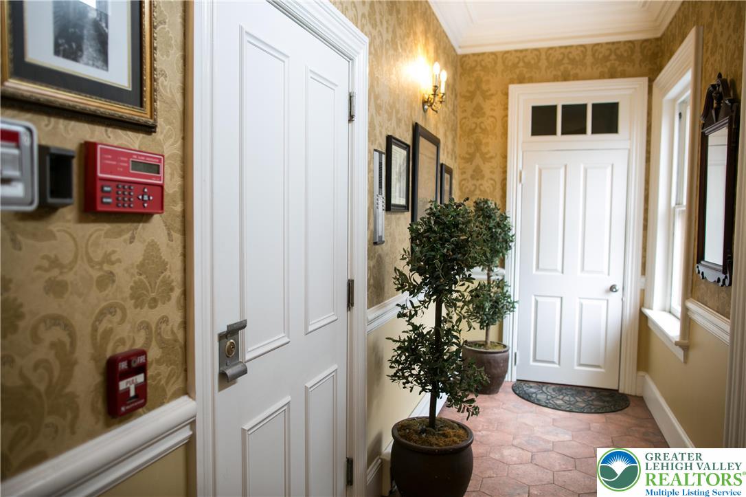 101 Northampton Street, Unit 2 Easton, PA 18042 - Photo 5 of 26 a potted plant sitting in front of a door