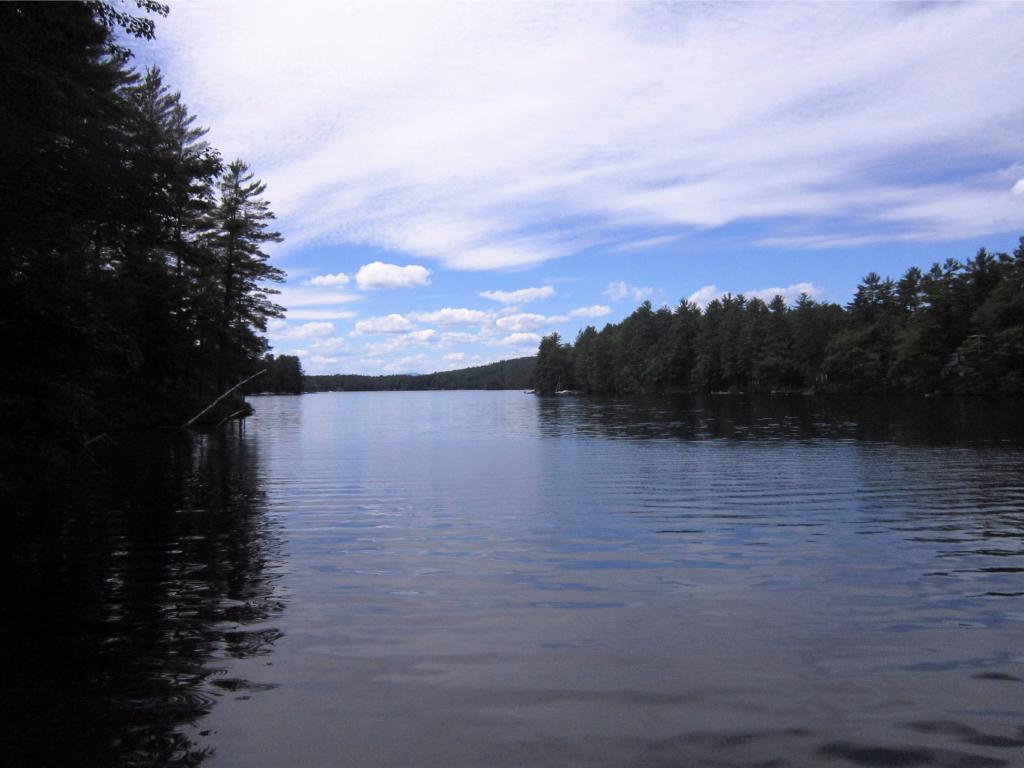 44 Livingston Goodwin Road Acton, ME 04001 - Photo 8 of 30 Gallery Image 8