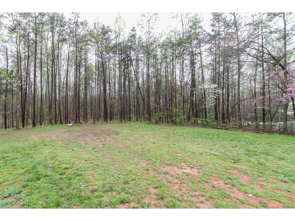 6722 Lakeview Road Mebane, NC 27302 - Photo 21 of 21 Gallery Image 21
