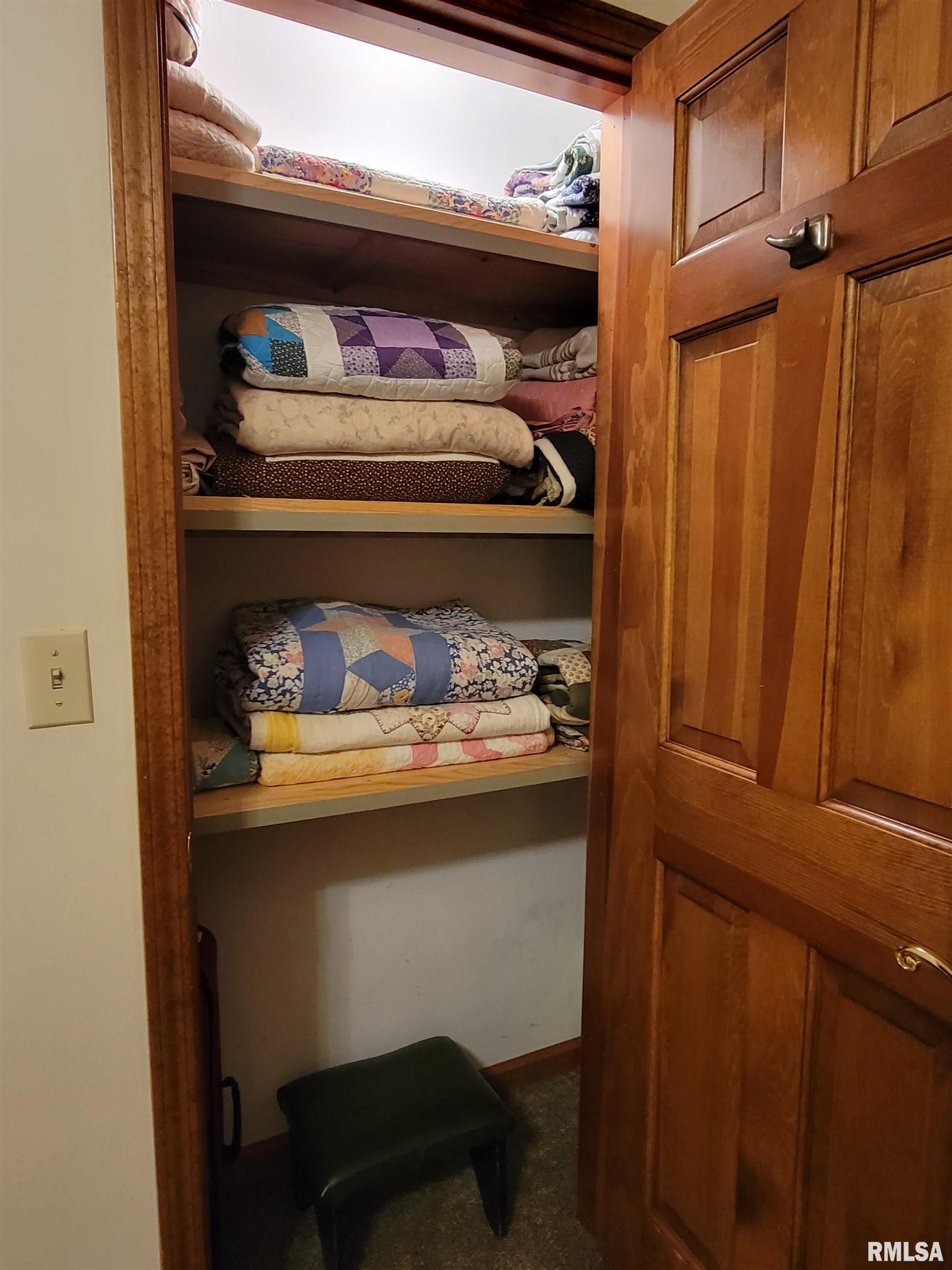 413 East 5th Street Flora, IL 62839 - Photo 56 of 100 Gallery Image 56