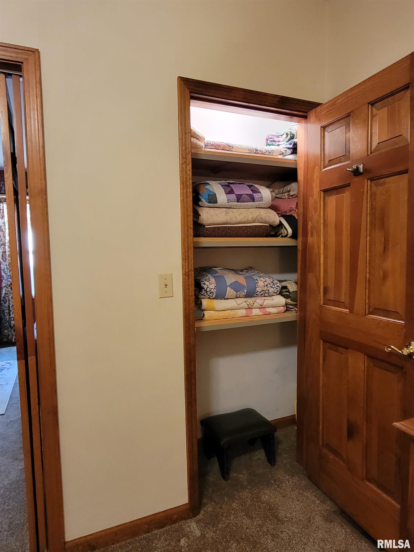 413 East 5th Street Flora, IL 62839 - Photo 57 of 100 Gallery Image 57