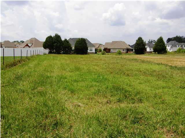 8528 Blanche Road Ooltewah, TN 37363 - Photo 1 of 1 Primary Photo