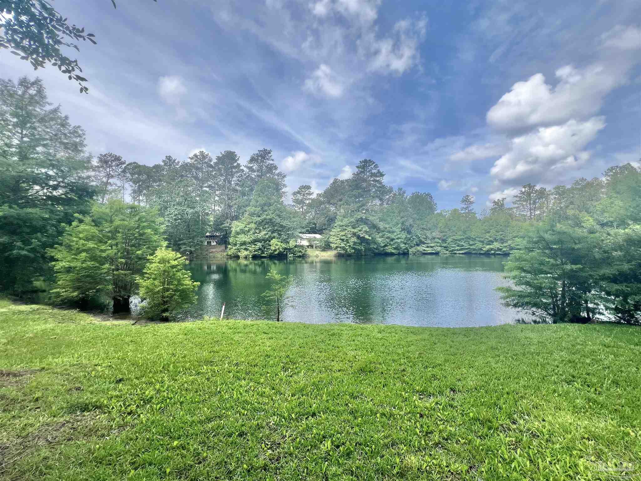 586 Buddy Lake Road Brewton, AL 36426 - Photo 21 of 36