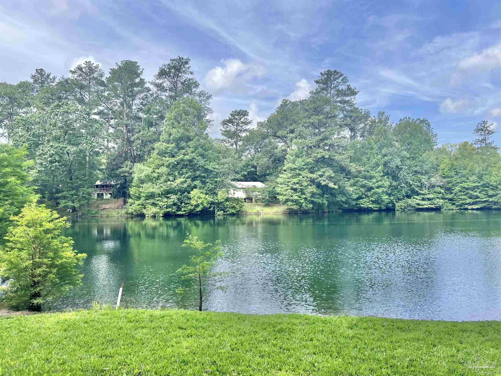 586 Buddy Lake Road Brewton, AL 36426 - Photo 22 of 36