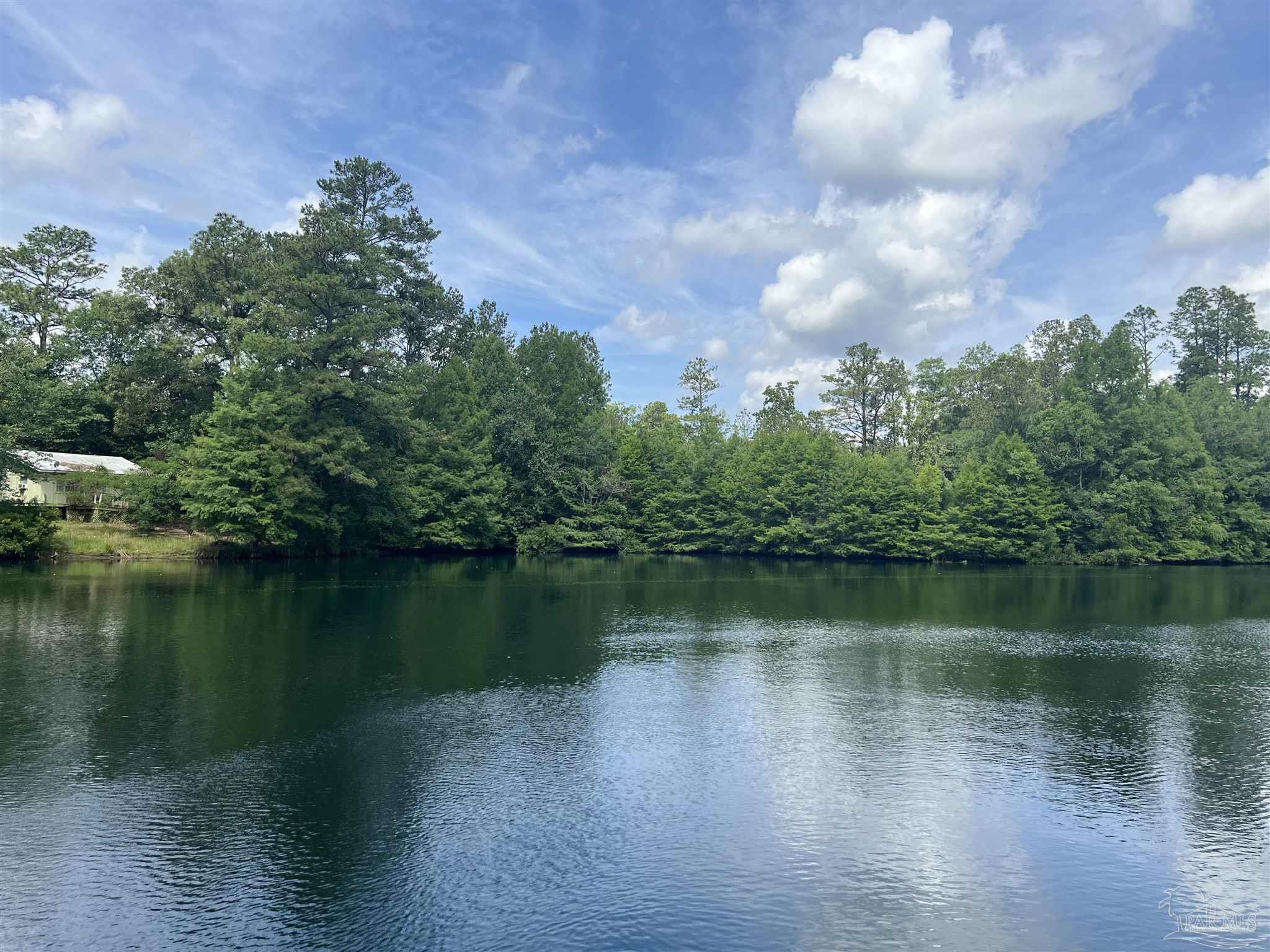 586 Buddy Lake Road Brewton, AL 36426 - Photo 25 of 36