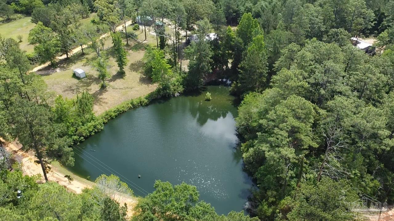 586 Buddy Lake Road Brewton, AL 36426 - Photo 27 of 36