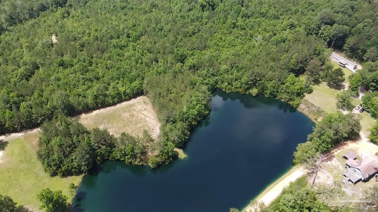 586 Buddy Lake Road Brewton, AL 36426 - Photo 28 of 36