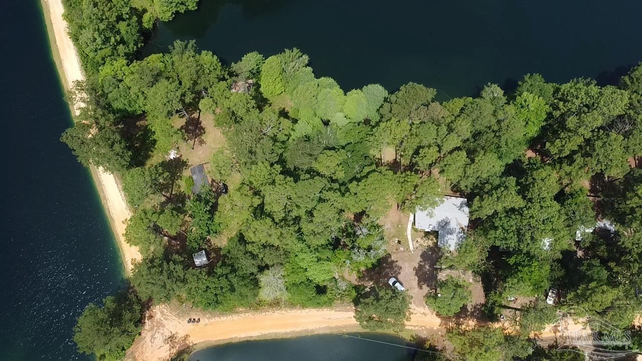 586 Buddy Lake Road Brewton, AL 36426 - Photo 30 of 36