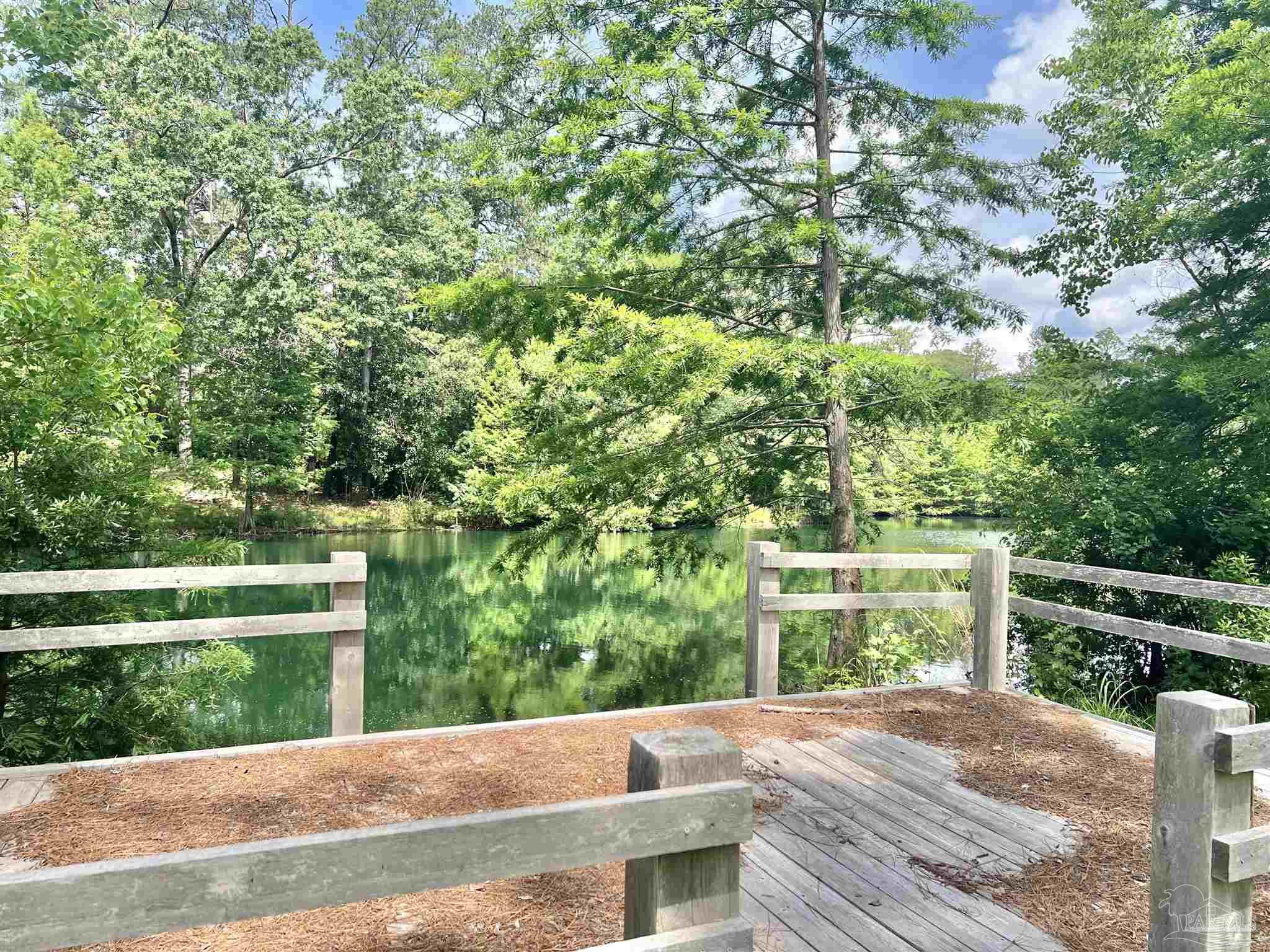 586 Buddy Lake Road Brewton, AL 36426 - Photo 32 of 36