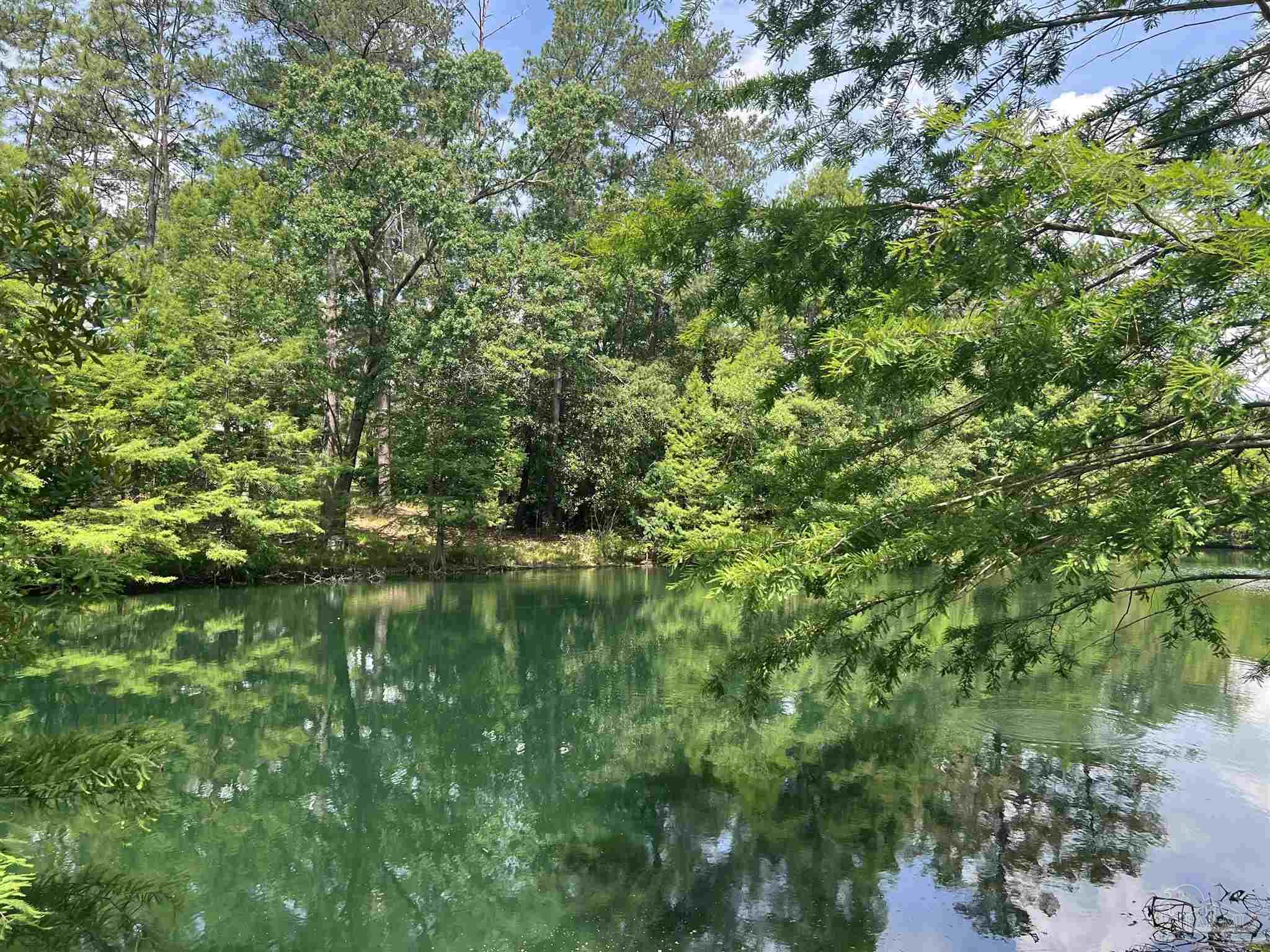 586 Buddy Lake Road Brewton, AL 36426 - Photo 34 of 36