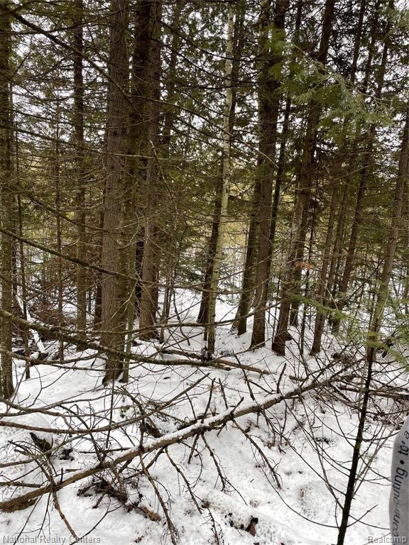 4502 Irwin Road Alpena, MI 49707 - Photo 16 of 29 Gallery Image 16
