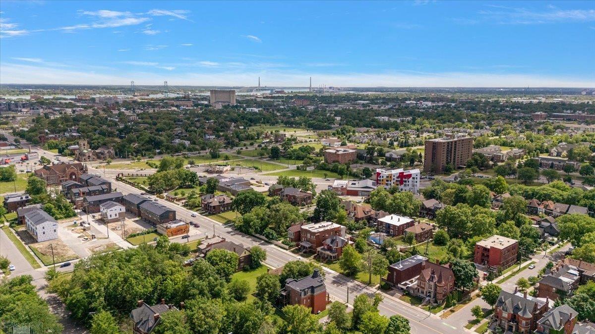 3933 Trumbull Detroit, MI 48208 - Photo 46 of 53