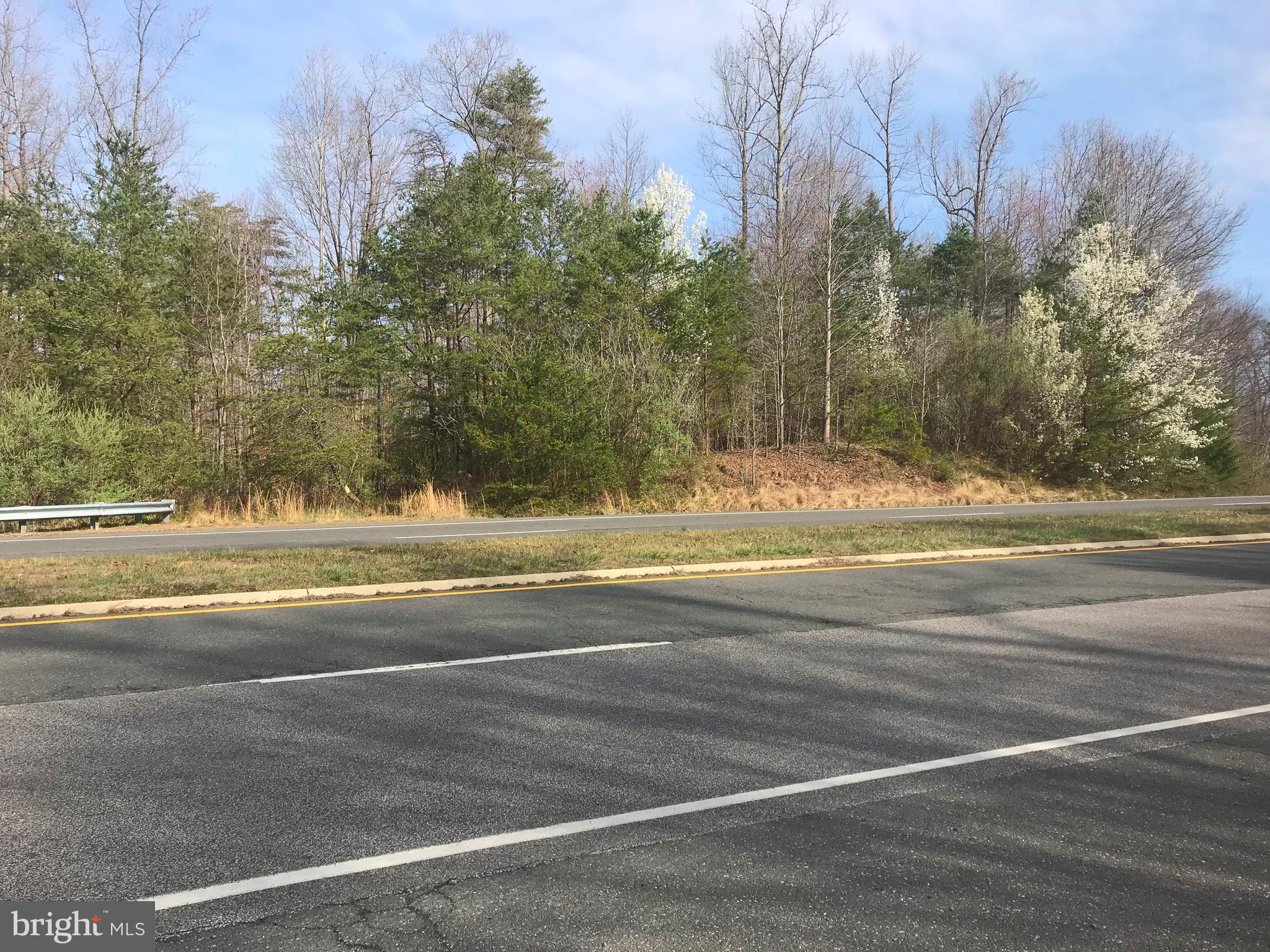 Hoadly Road Manassas, VA 20112 - Photo 8 of 20 Right View of 10.79 acre parcel across Hoadly Rd