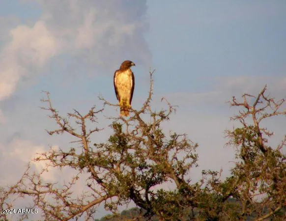 a street sign under a large tree