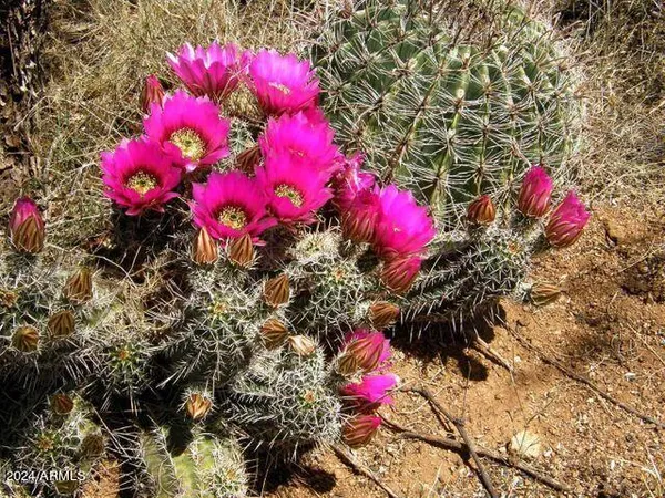 $80,000 | E268 East Tom Jeffords Drive, Unit LOT 68, St. David, AZ 85630