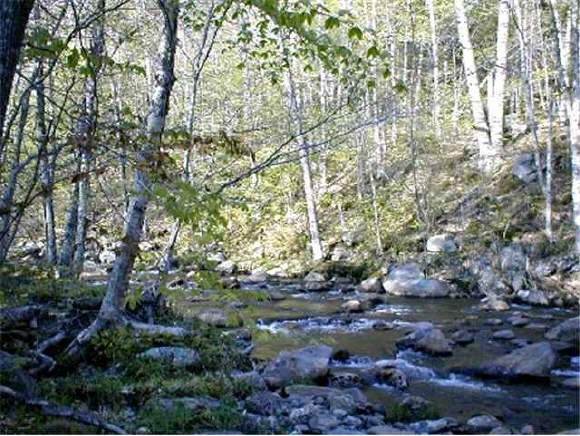 1373 Stinson Lake Road Rumney, NH 03266 - Photo 1 of 9