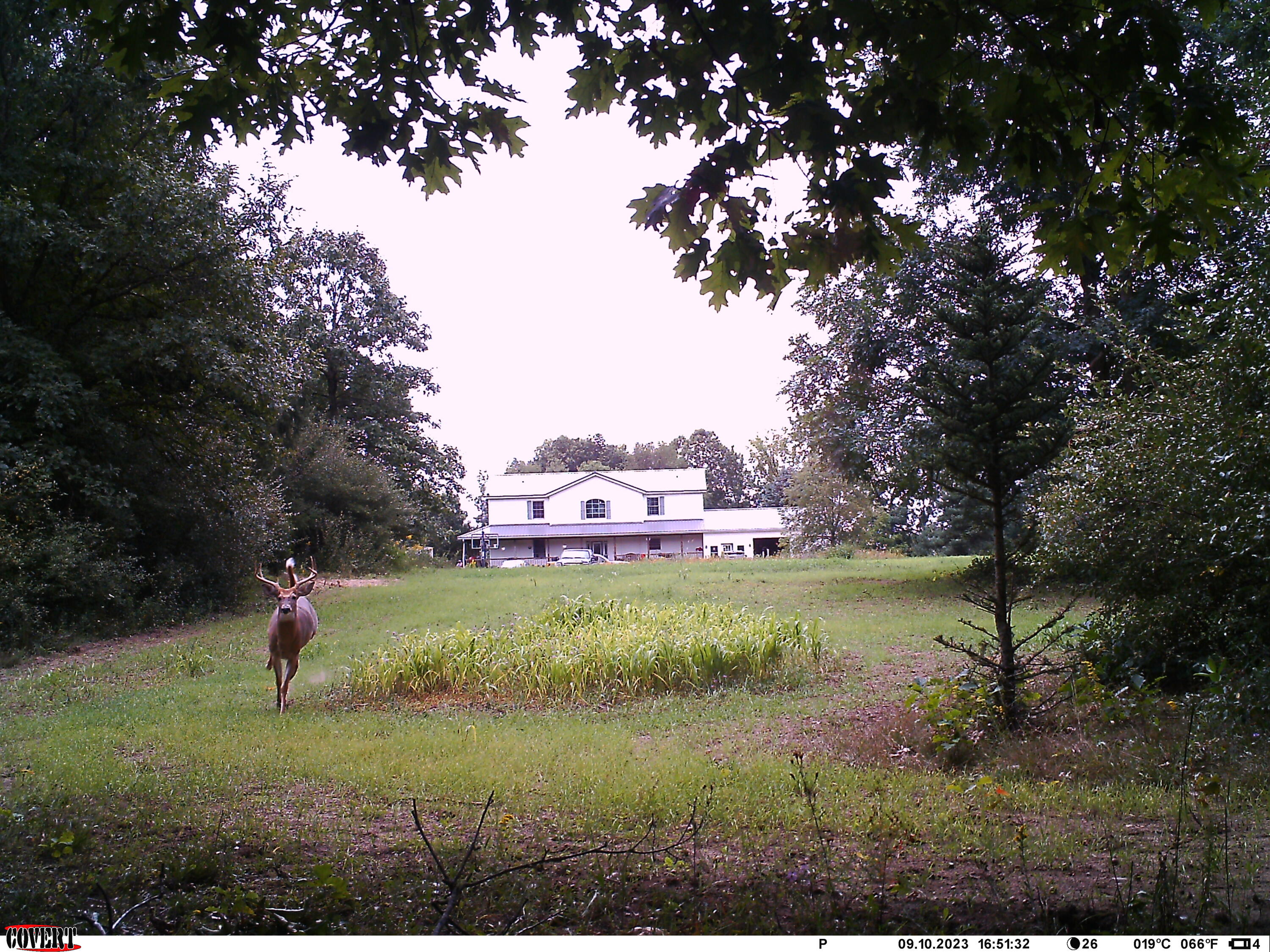 4654 Woods Road Sidney, MI 48885 - Photo 41 of 42 IMAG0005