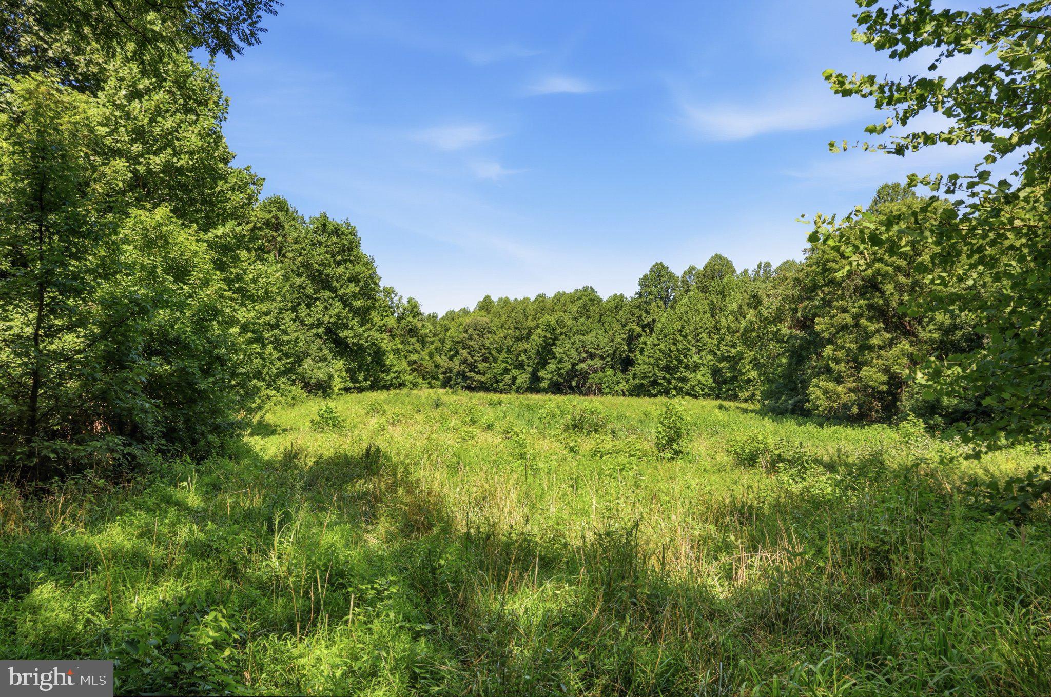 13729 Martin Road Brandywine, MD 20613 - Photo 10 of 21 Lush green landscape under blue skies.