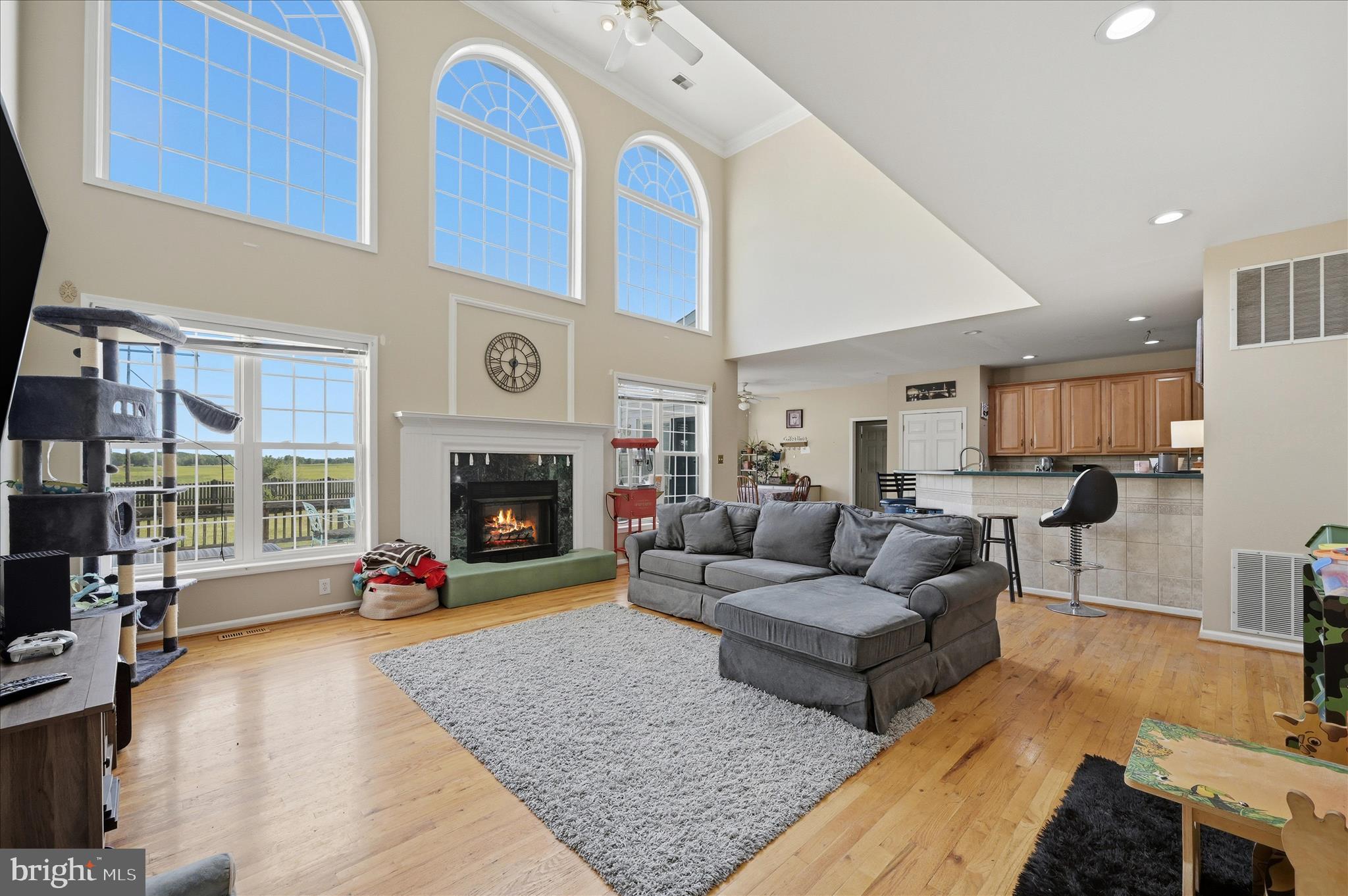 1308 Trapp Hill Road Berryville, VA 22611 - Photo 14 of 56 Living Room