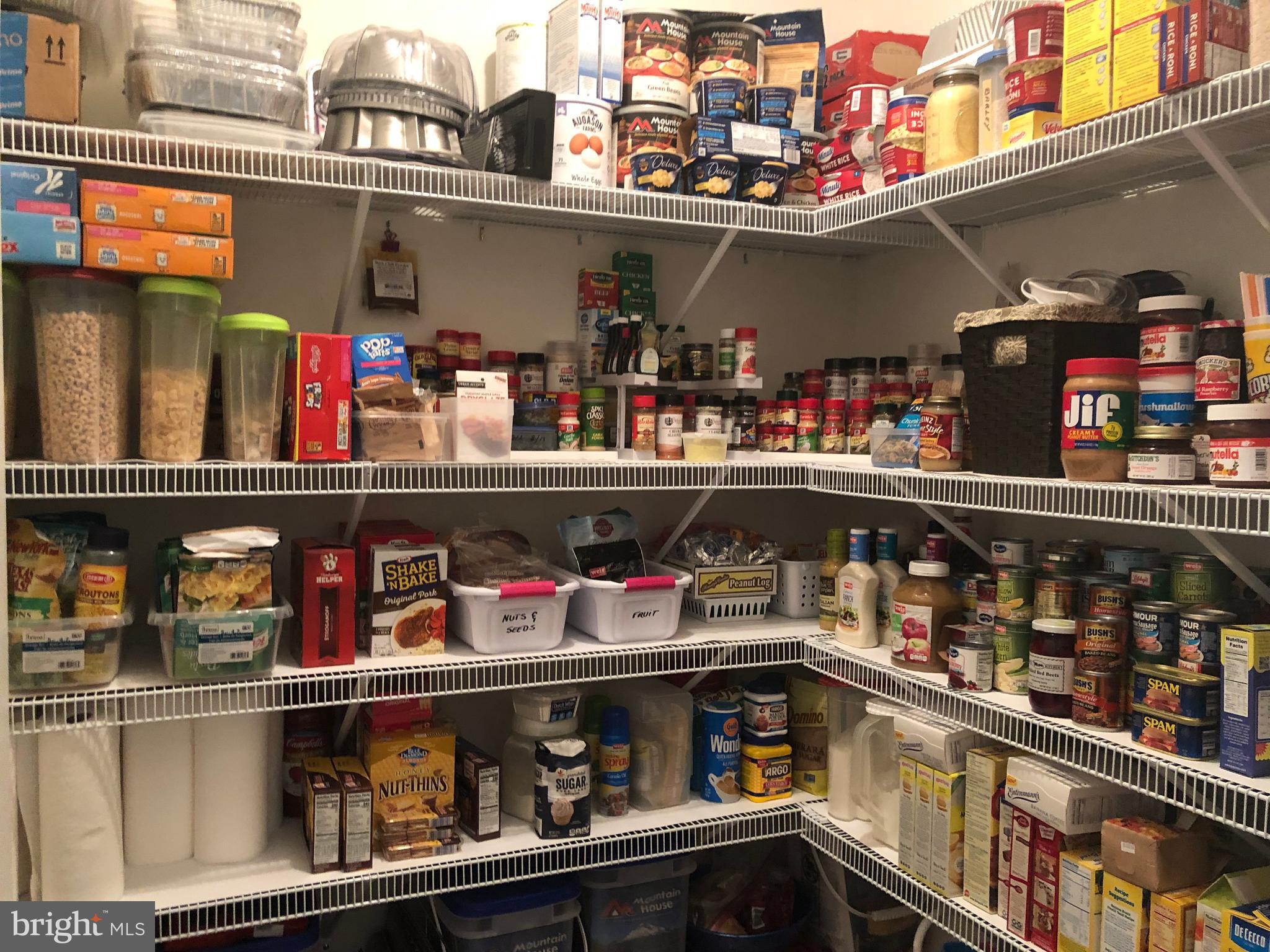 21068 Cool Spring Road Milton, DE 19968 - Photo 30 of 79 Owners pantry