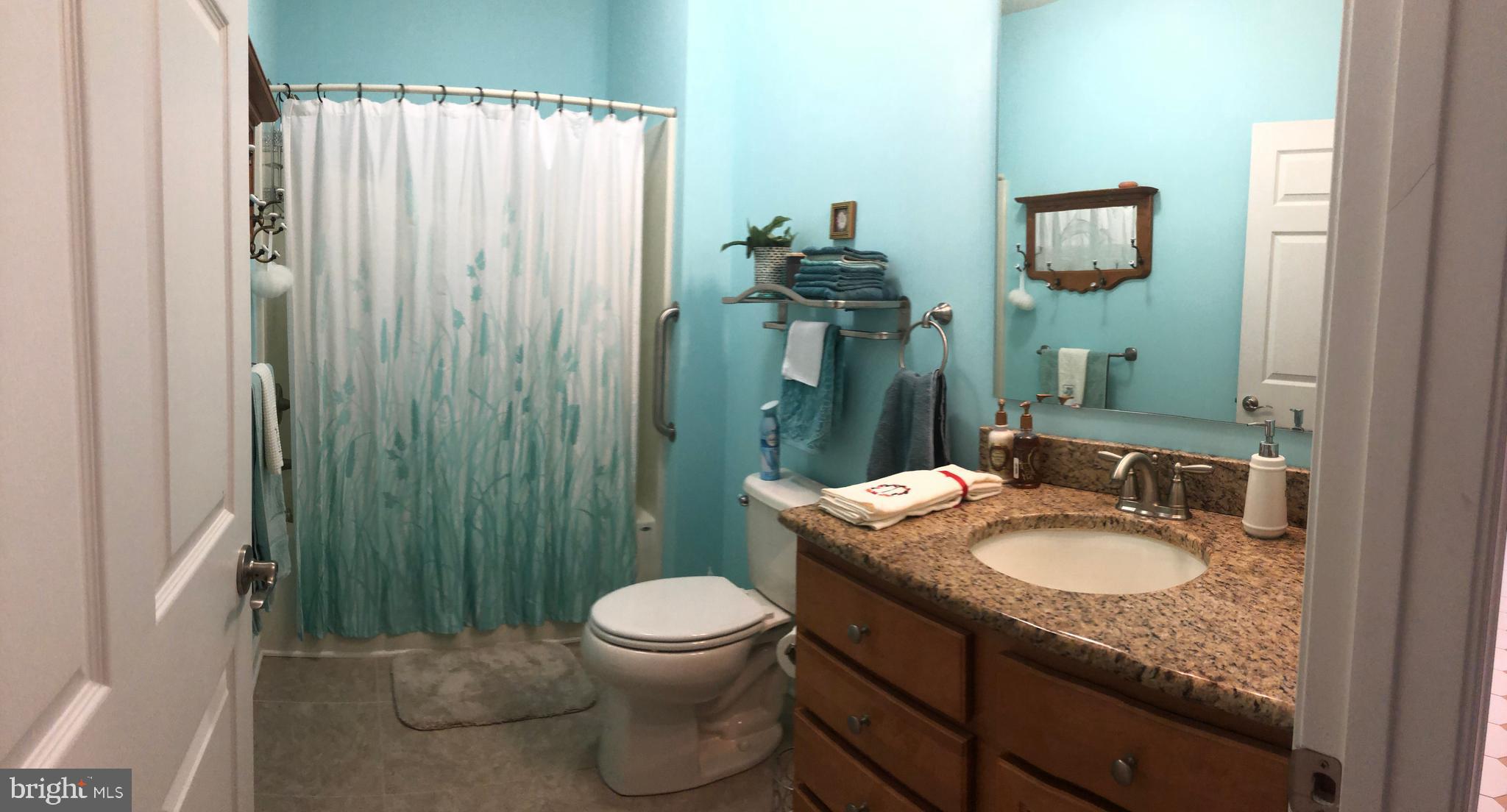21068 Cool Spring Road Milton, DE 19968 - Photo 66 of 79 Main bath in In-Law Suite