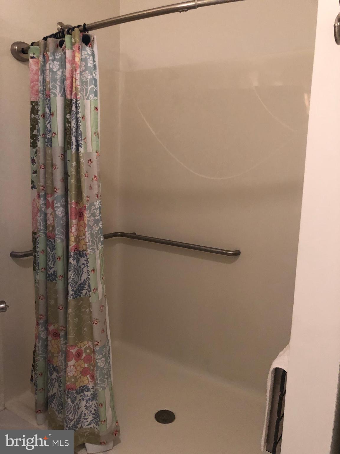 21068 Cool Spring Road Milton, DE 19968 - Photo 69 of 79 Roll in shower in Master In-Law Suite