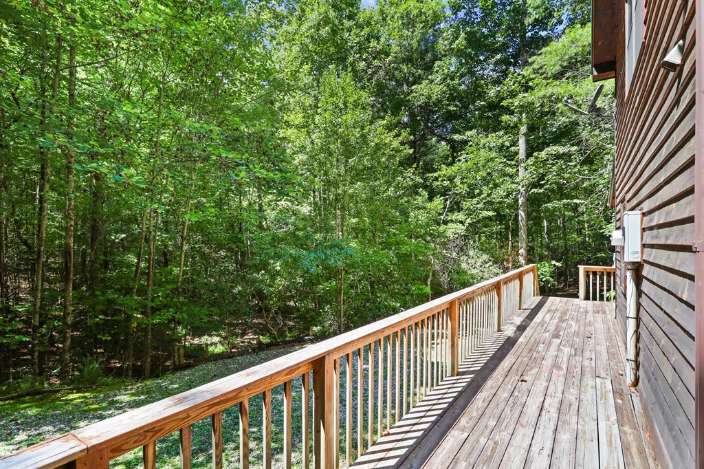 314 Wild Ridge Road Blairsville, GA 30512 - Photo 35 of 37 Gallery Image 35