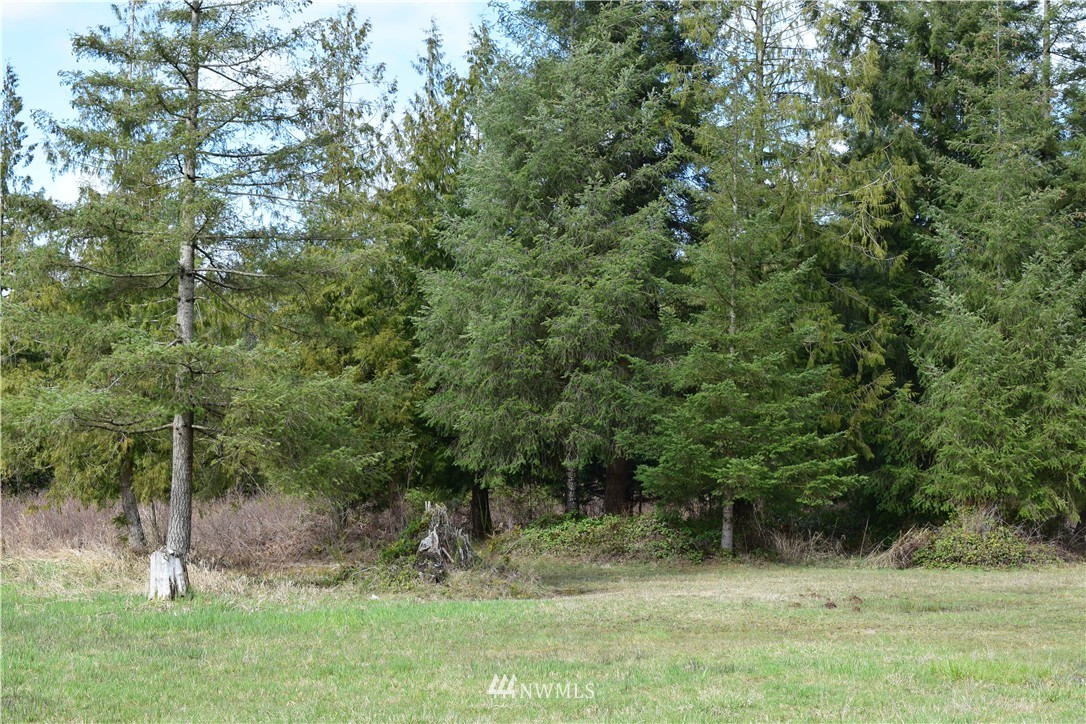 676 North Military Road Winlock, WA 98596 - Photo 20 of 22
