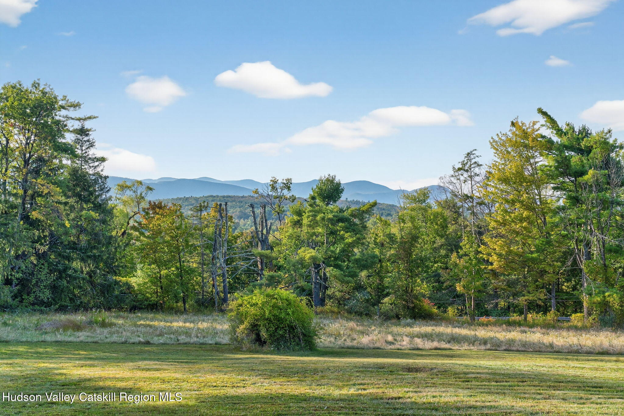 4701 Atwood Road Stone Ridge, NY 12484 - Photo 37 of 41 a view of a swimming pool and a yard