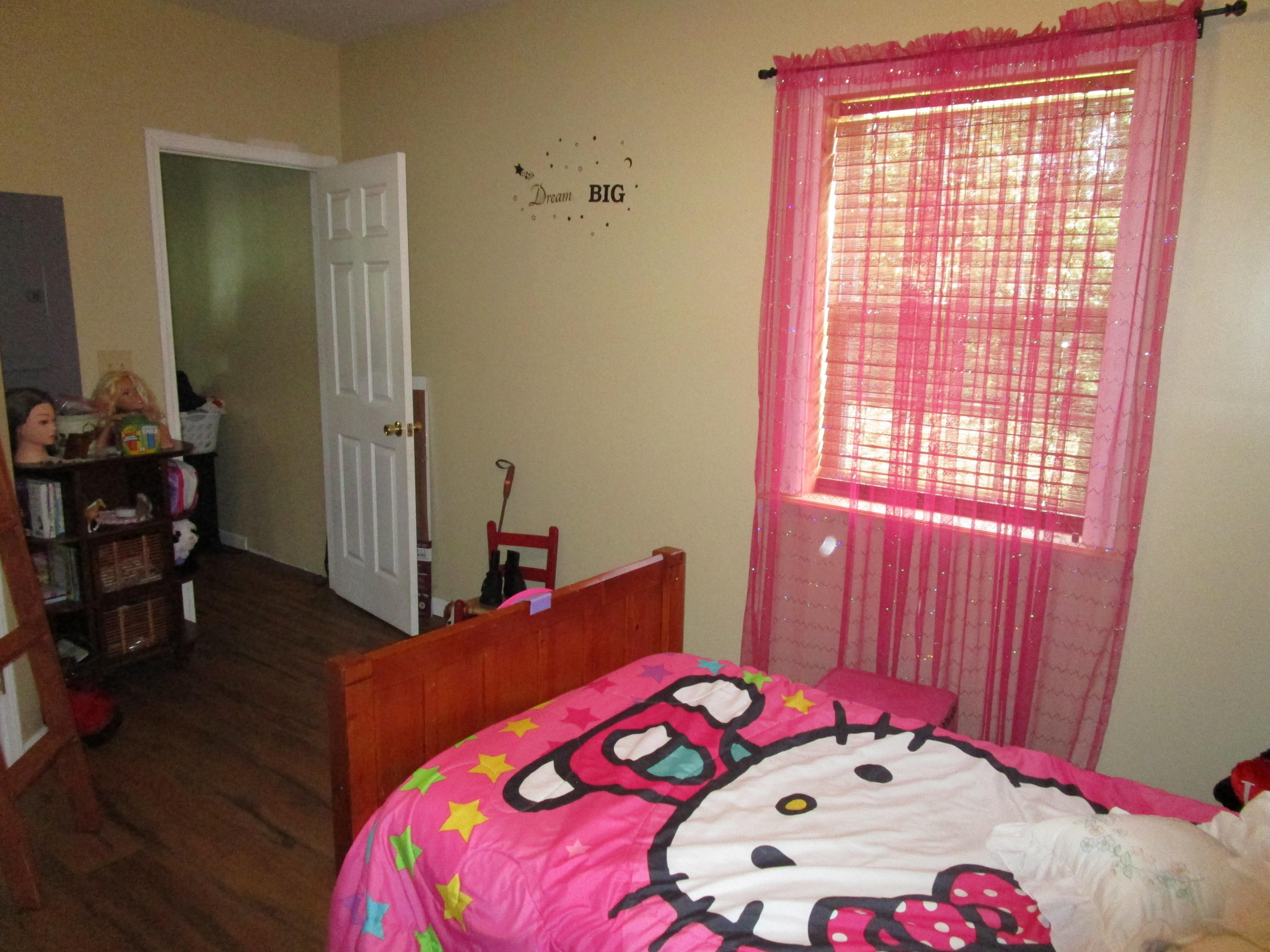 522 Hales Chapel Road Gray, TN 37615 - Photo 33 of 42 IMG_0867