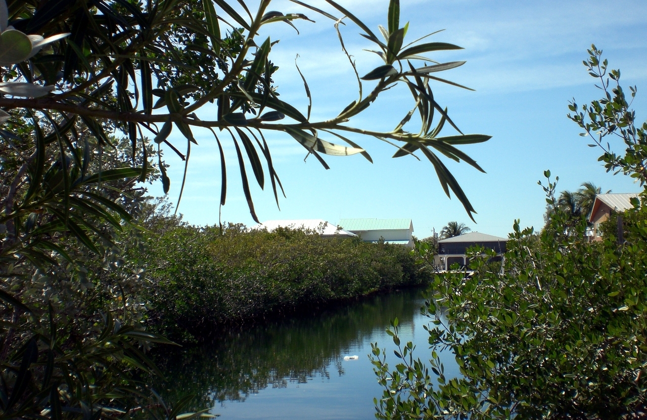 Lot 8 Peg Leg Road Summerland Key, FL 33042 - Photo 1 of 8 Private setting!